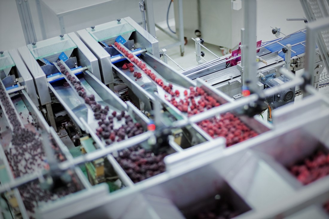 Electrical development fruit sorting